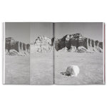 Speak The Wind – Hoda Afshar