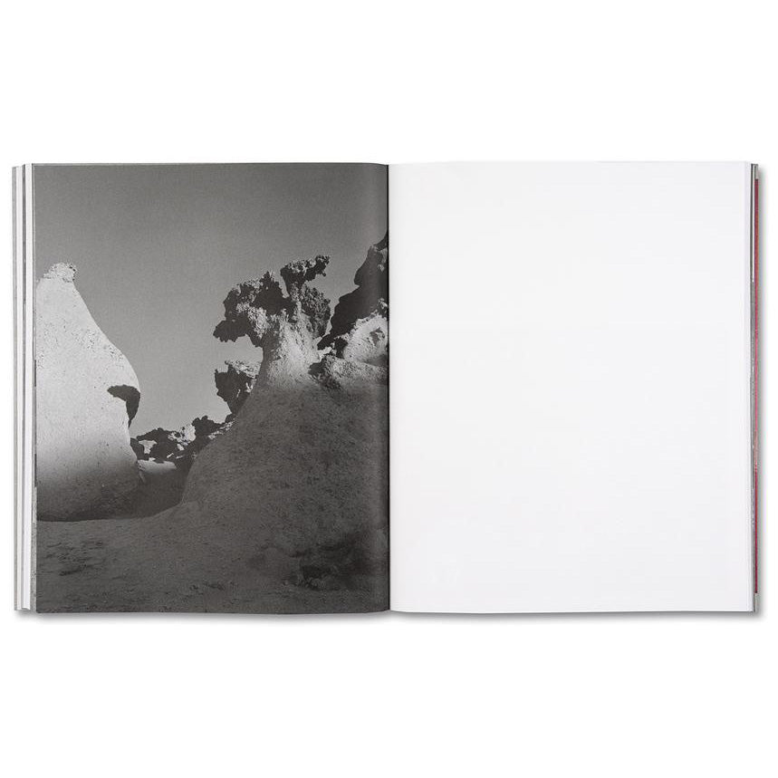 Speak The Wind – Hoda Afshar