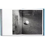 Stable Vices - Joanna Piotrowska