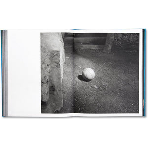 Stable Vices - Joanna Piotrowska