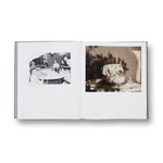 Pictures From Home – Larry Sultan