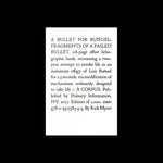 A Bullet for Buñuel: Fragments of a Failed Bullet - Rick Myers