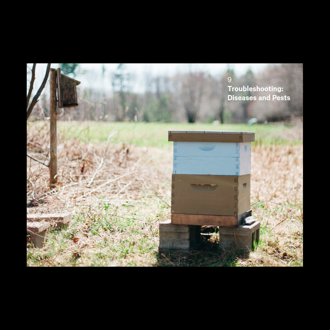 Do Beekeeping - The secret to happy honeybees