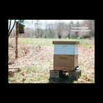 Do Beekeeping - The secret to happy honeybees
