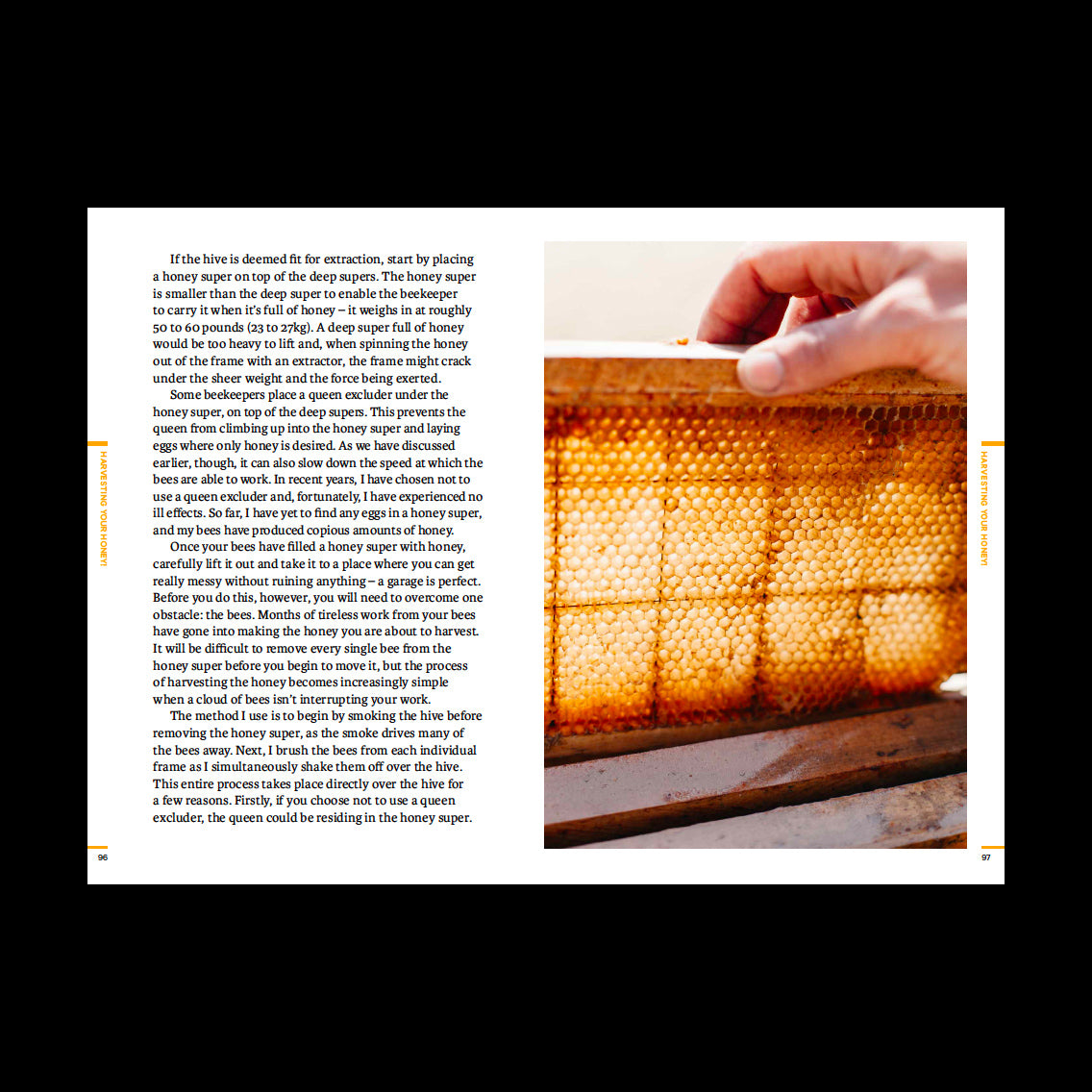 Do Beekeeping - The secret to happy honeybees