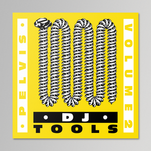 Pelvis Records - DJ Tools Volume 2