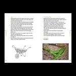 Do Grow - Start With 10 Simple Vegetables