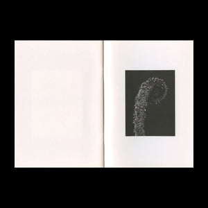 Traianos Pakioufakis - Grass Tree