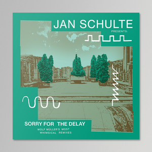 Jan Schulte - Sorry For The Delay: Wolf Müller's Most Whimsical Remixes