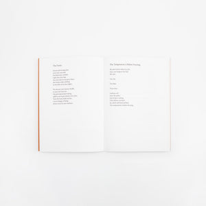 Lament - Briony Bax