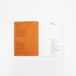 Lament - Briony Bax