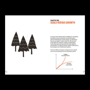 Do Scale: A road map to growing a remarkable company - Les McKeown