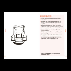 Do Scale: A road map to growing a remarkable company - Les McKeown