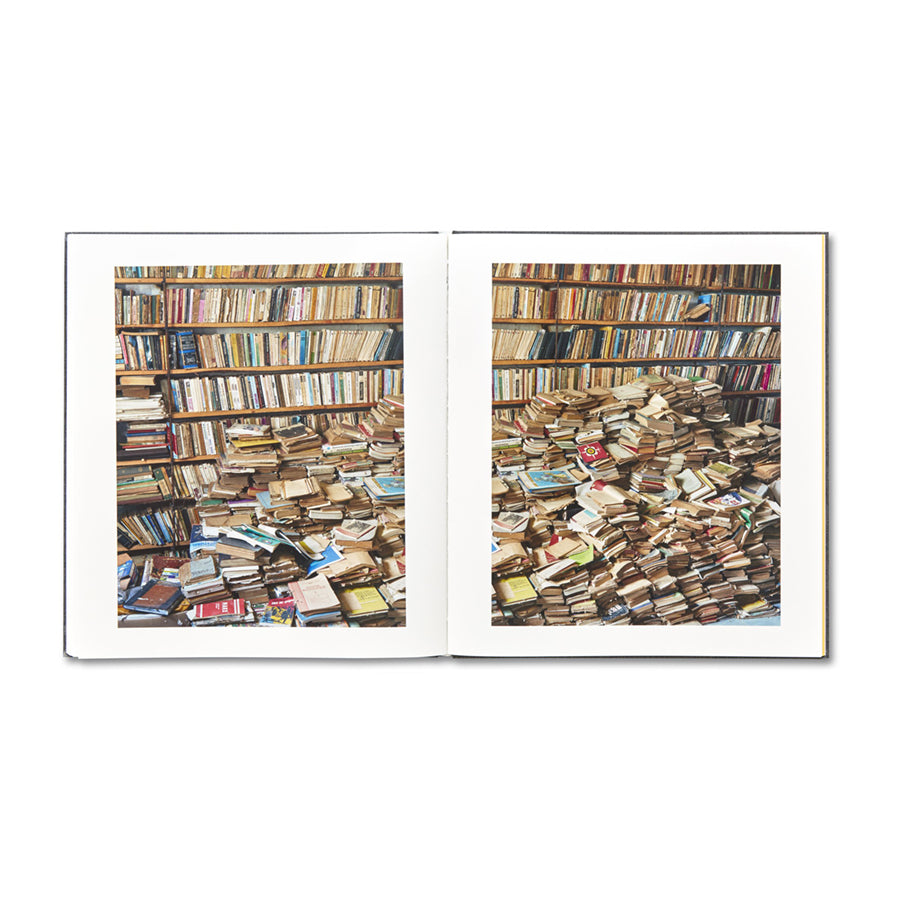 Alec Soth - I Know How Furiously Your Heart Is Beating