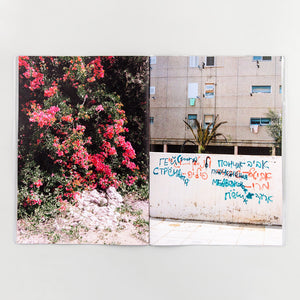 Dafy Hagai - Spring