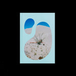 Strange Plants III