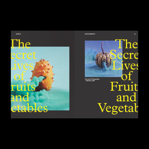 Staple Issue 02: Objects of Desire