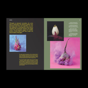 Staple Issue 02: Objects of Desire