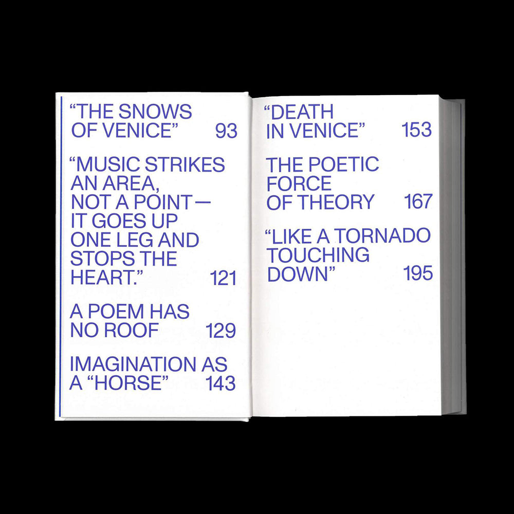 Ben Lerner & Alexander Kluge - The Snows of Venice